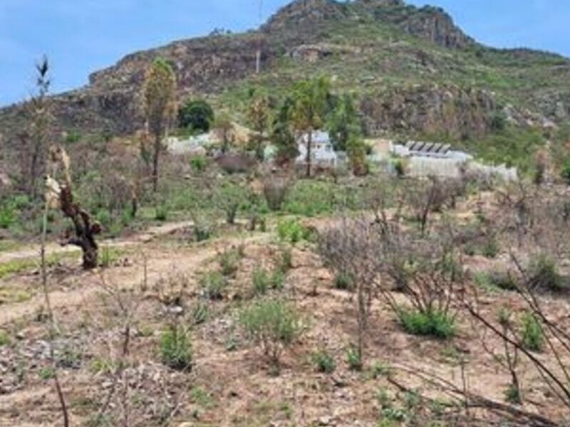 Venta terreno Cerro Picacho Aguascalientes