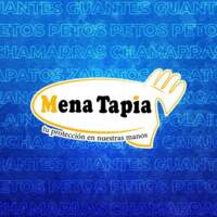Grupo Industrial Mena Tapia Apellido