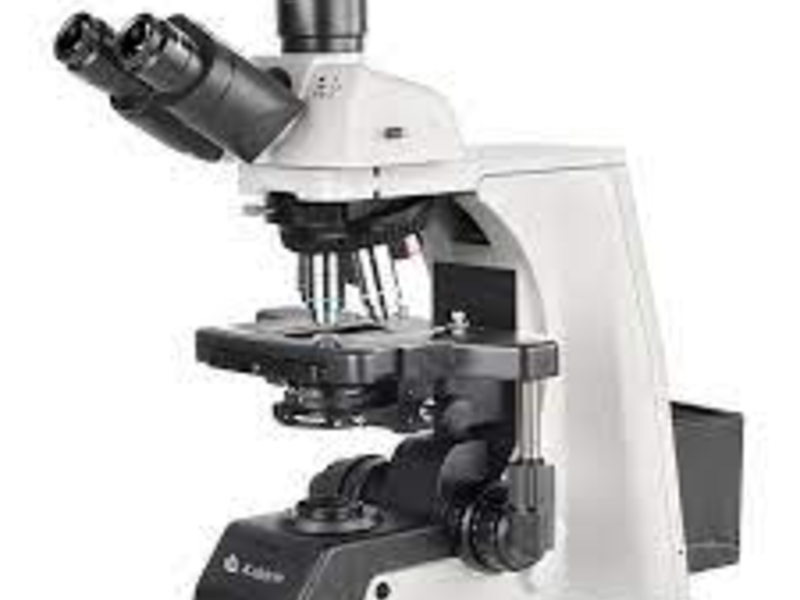 Microscopios