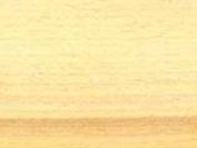 Madera de Abedul amarillo México