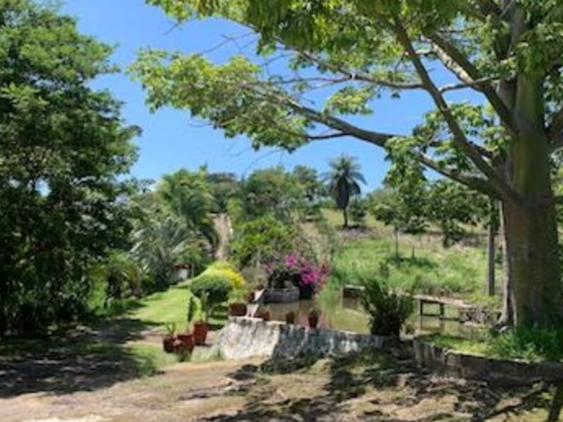 Venta Rancho Emiliano Zapata