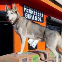 Ferreteria Girasol - Saltillo