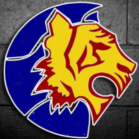 El tigre construcción