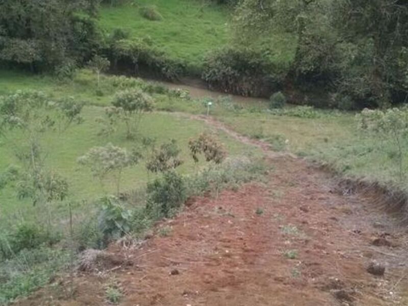 Venta terreno Col. Plan Cruz
