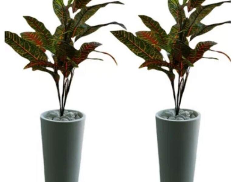 MACETA MINIMALISTA FICUS MEXICO