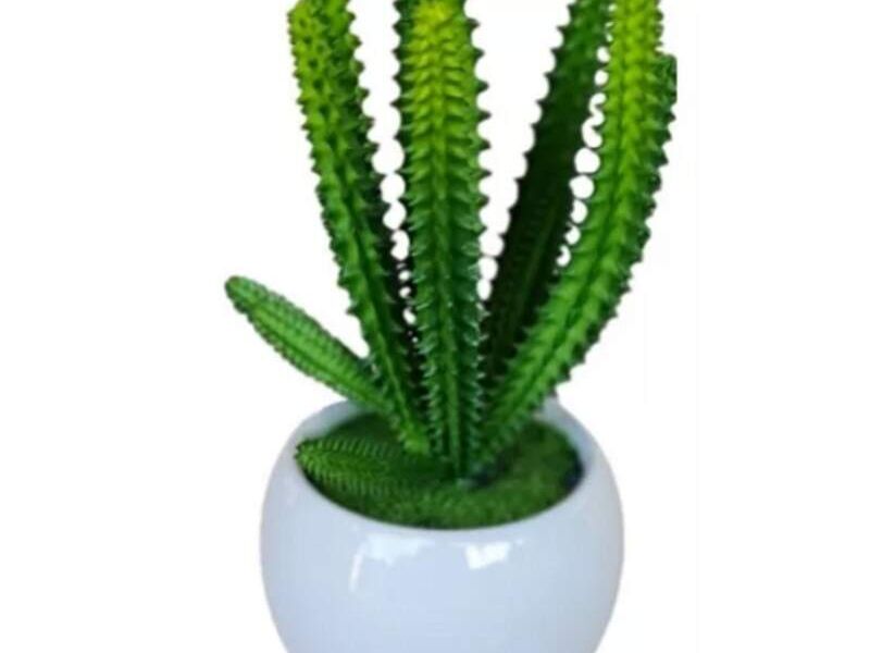 MACETA MINI MEXICO