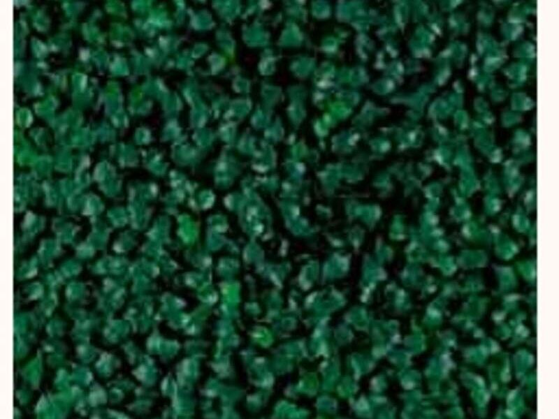 Green Boxus México