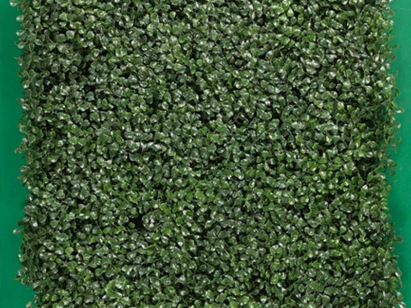 Muros verdes Planta D1