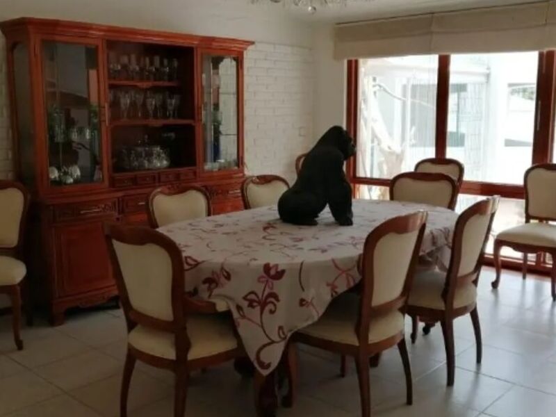 Venta casa Alfonso Reyes