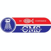 CMS Diseño y construcción