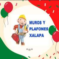 Muros Y Plafones Xalapa