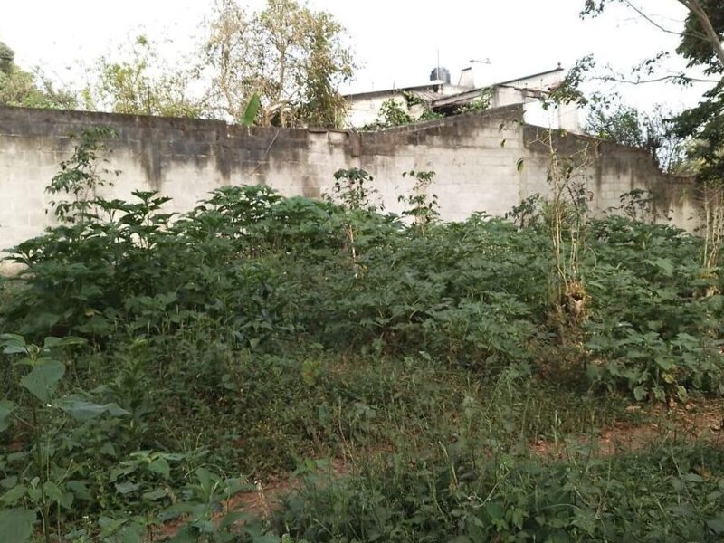 Venta terreno San Marcos León