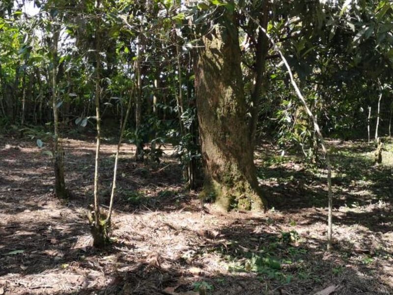 Venta terreno Col Cuahutemoc