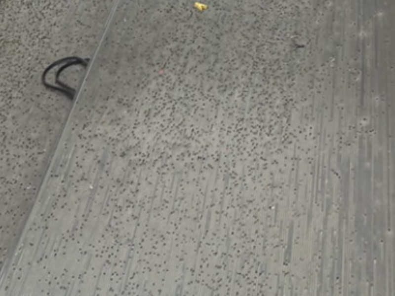 Aluminio México 