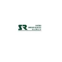 Sayro Bienes Raices