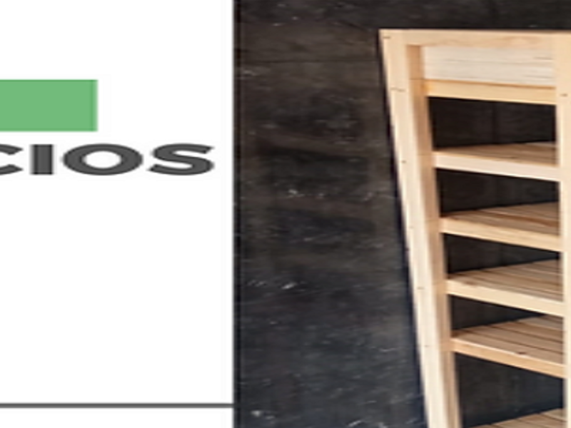 Organizador CDMX