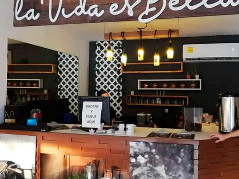 DISEÑOS NEGOCIOS REYNOSA