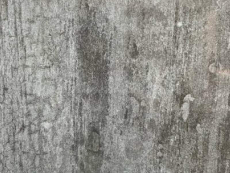 Piso Porcelanato Ashwood Grey en León