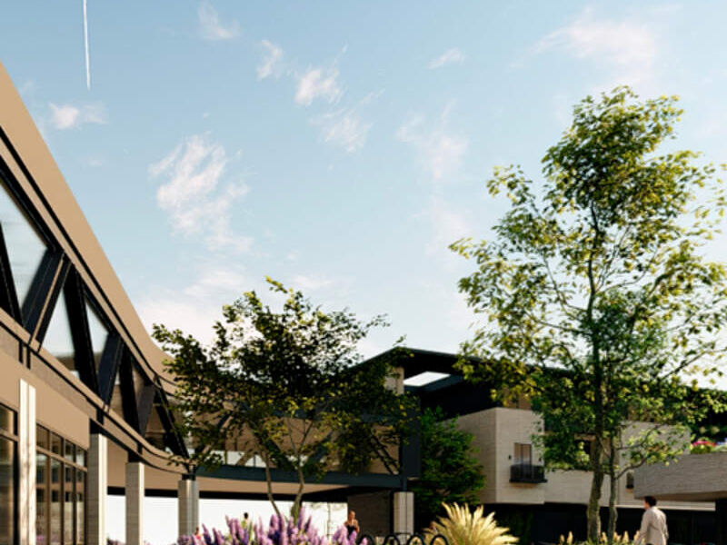 DISEÑO EJECUTIVO PLAZA