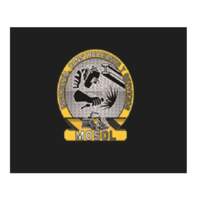 Ingeniería, Construcciones y Servicios Mosol