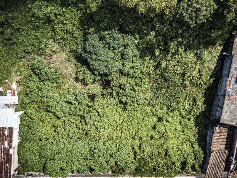 Venta terreno centro Coatepec