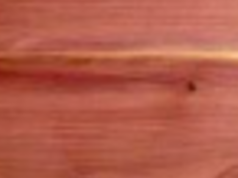 Madera enebo leon