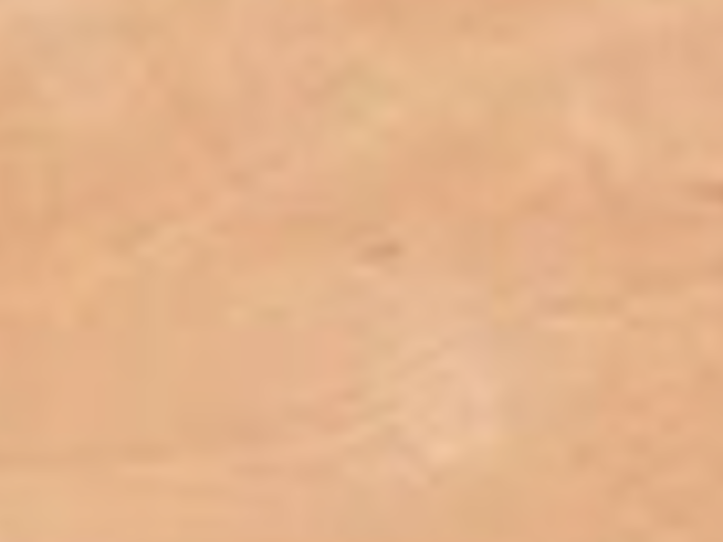 madera peral leon