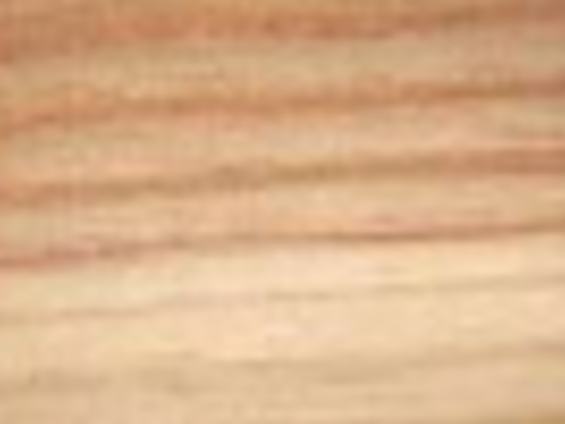 Madera pino leon