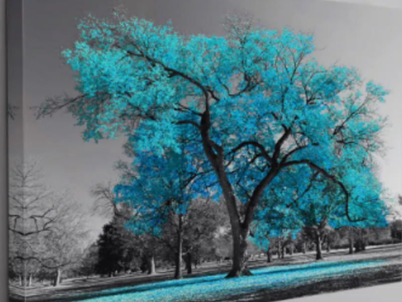 Cuadro Arbol Turquesa México 