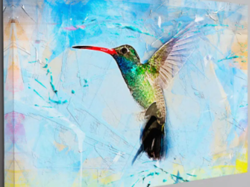 Cuadro Colibrí México 