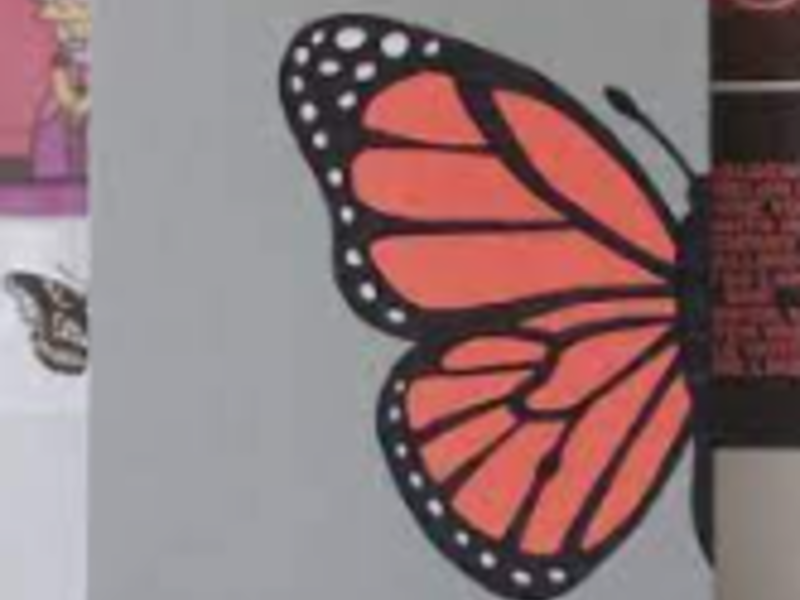 Cuadro Ala mariposa 