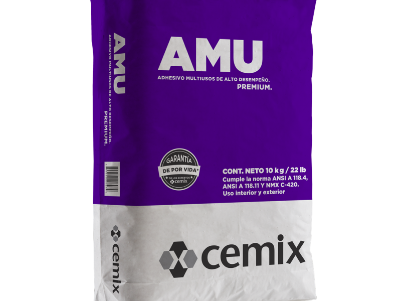 PEGAZULEJO AMU San Luís Potosí