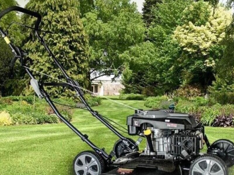 Motosierra para jardín en CDMX