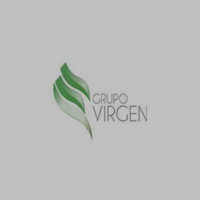 GRUPO VIRGEN S.A DE C.V.