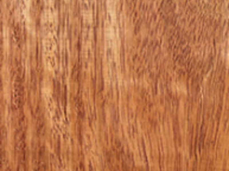 Madera tornillo tijuana