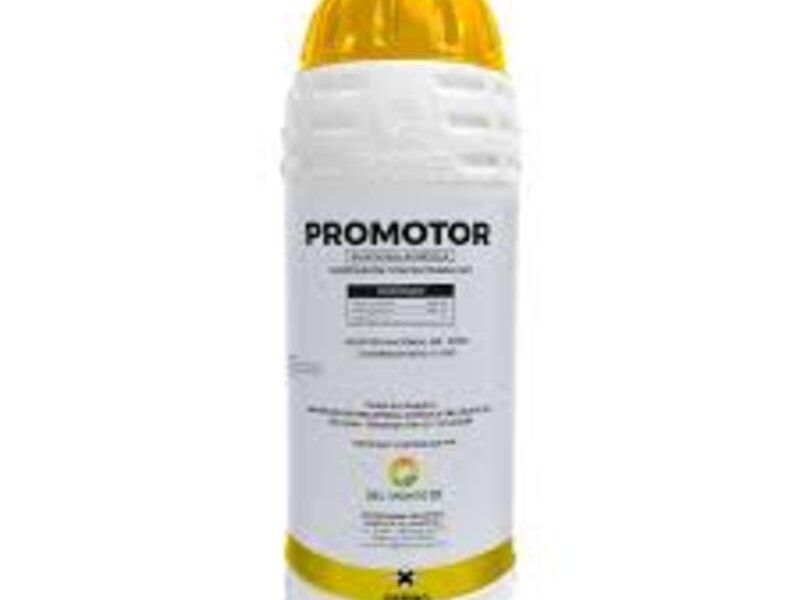 Promotores México