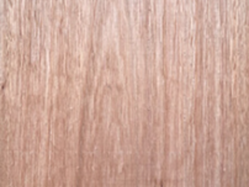 Madera eucalipto tijuana