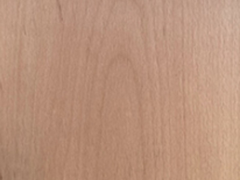 Madera haya tijujana