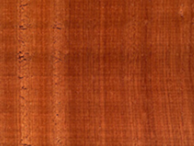 madera caoba sapelli tijuana