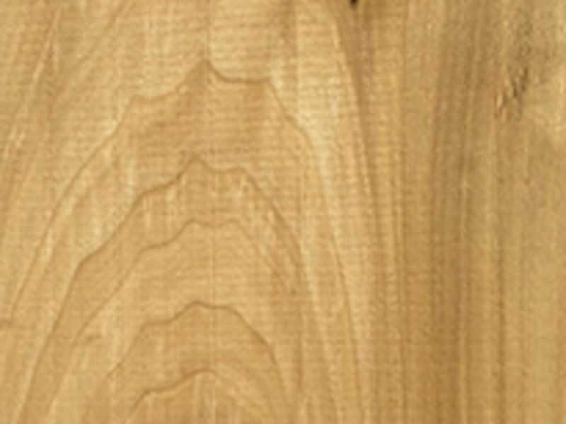 Madera poplar tijuana