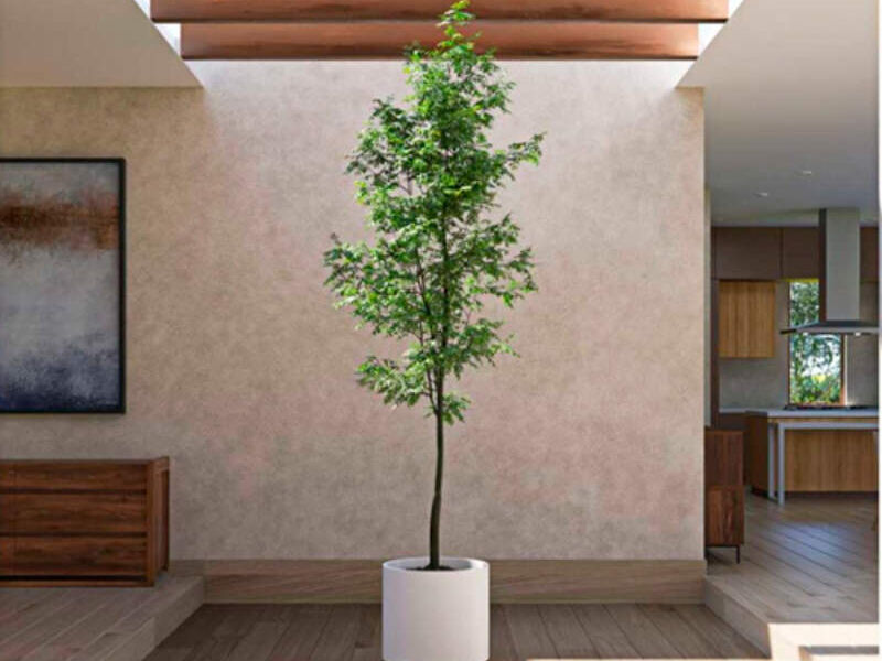 DISEÑO JARDIN INTERIOR ZAPOPAN