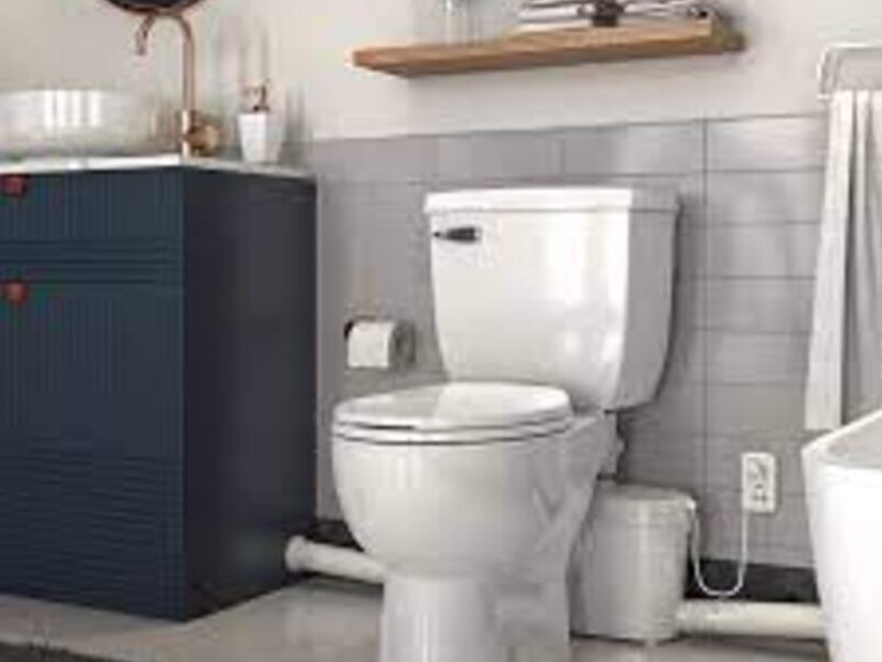Sanitario México