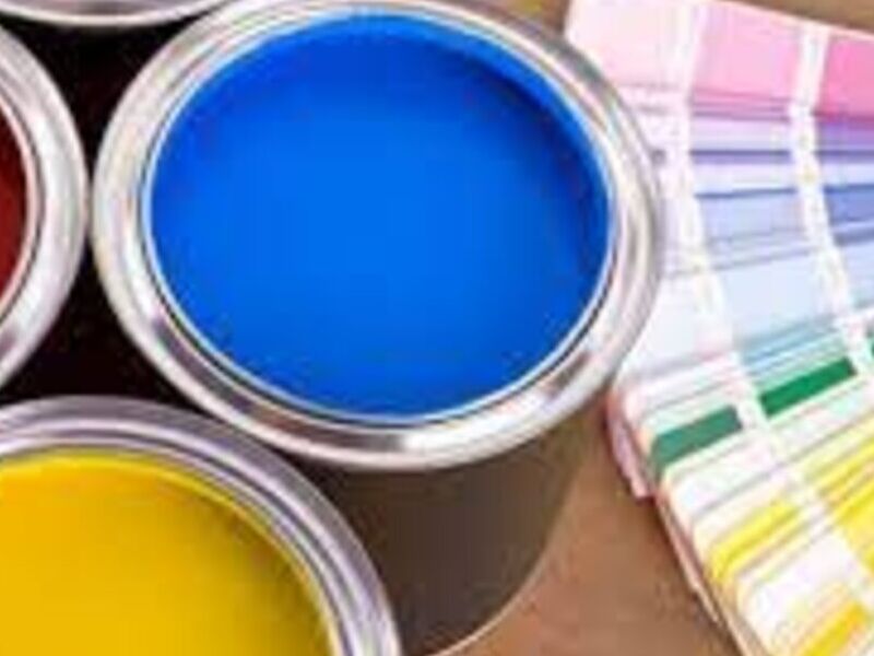 Pinturas Vinílicas Durango