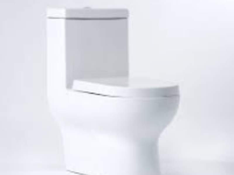 Inodoro Hermes Pro 4.8 L San Quintín