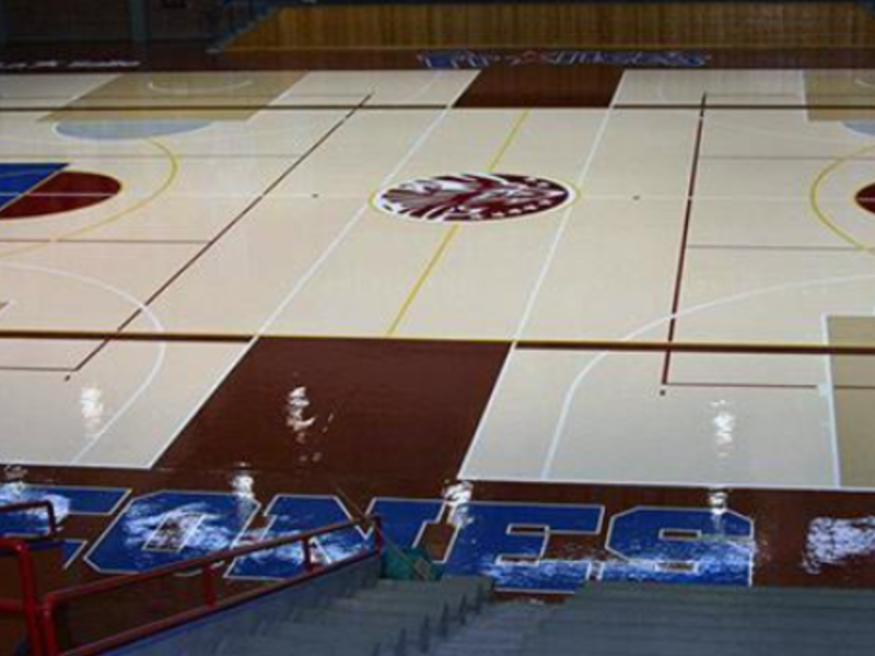 Servicio Colocacion Pisos Canchas Tijuana