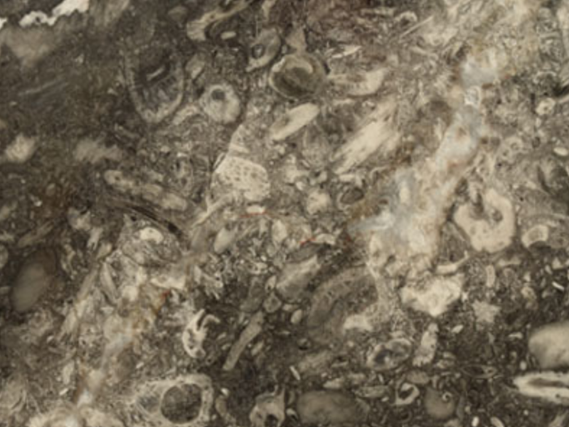 Mármol Gris Monsong México