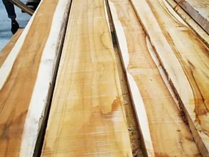 Madera teka hermosillo
