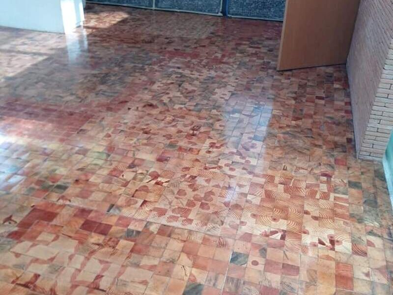 Madera corte transversal  en Puebla