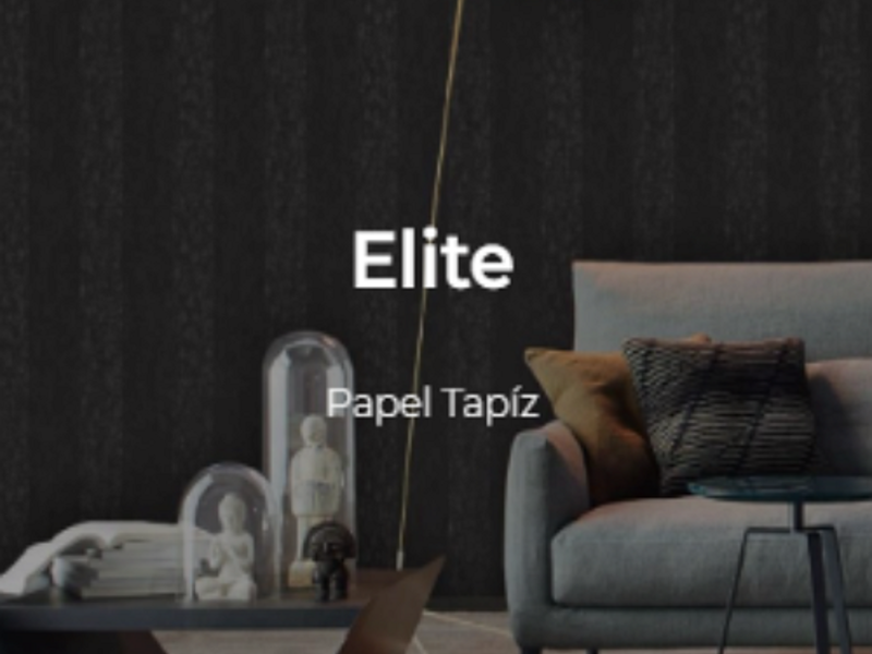 Elite Puebla