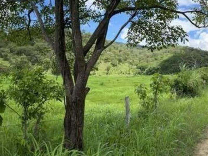 Venta Rancho Villaflores